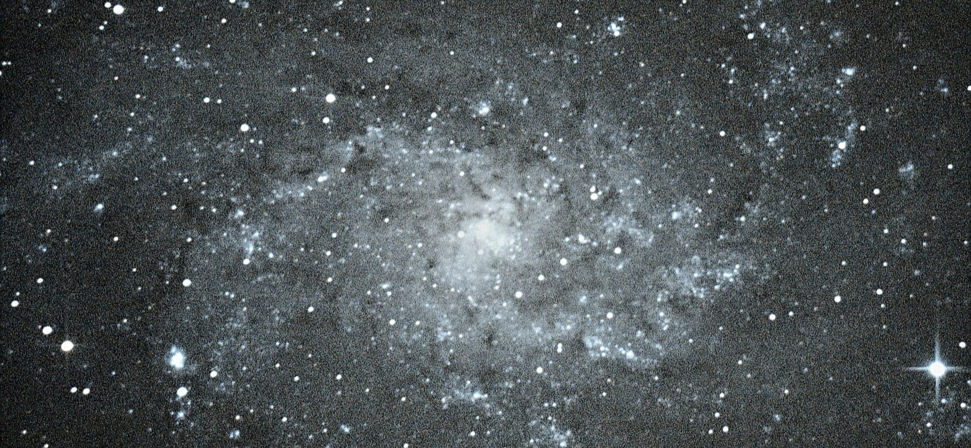M33
